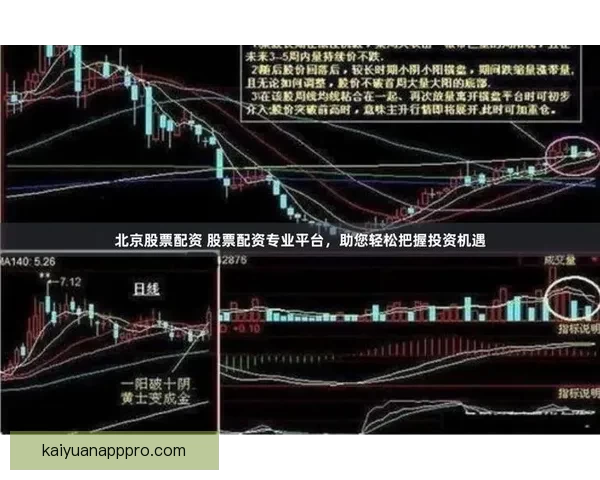 精准预测赢大奖 体育竞猜推荐助你轻松把握赛场动向